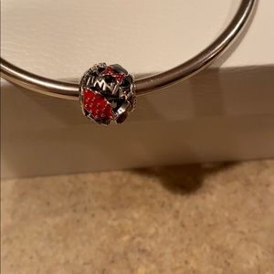 Authentic Pandora Disney Park Charm